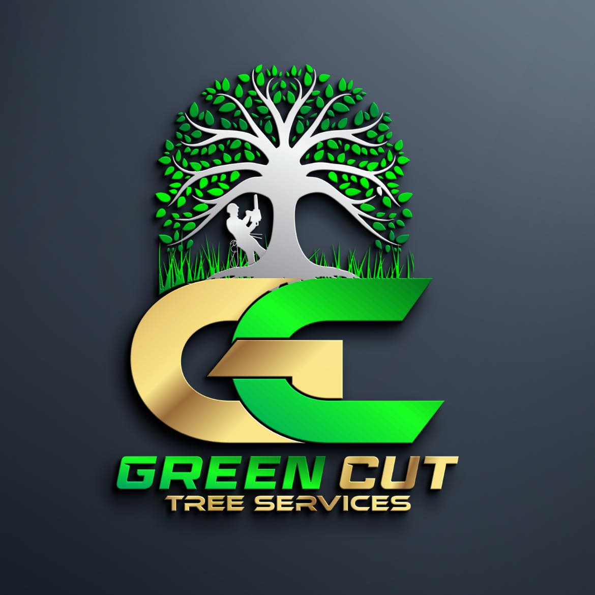 Large oak tree removal project in Pearland TX