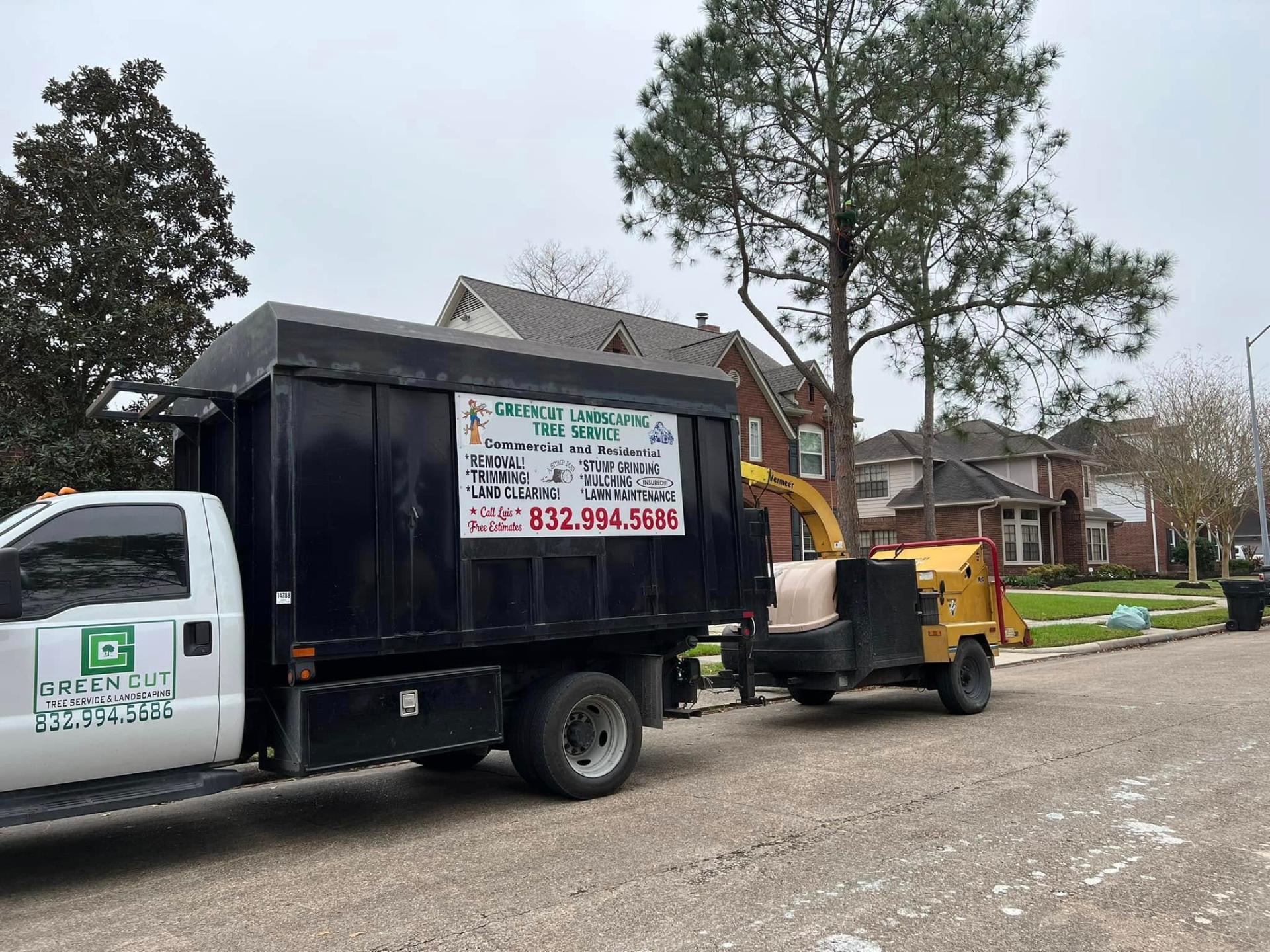 Green Cut Tree Services truck and equipment in Pearland Texas