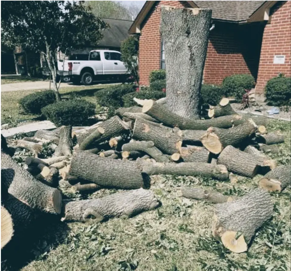 Land clearing and lot preparation service in Pearland TX