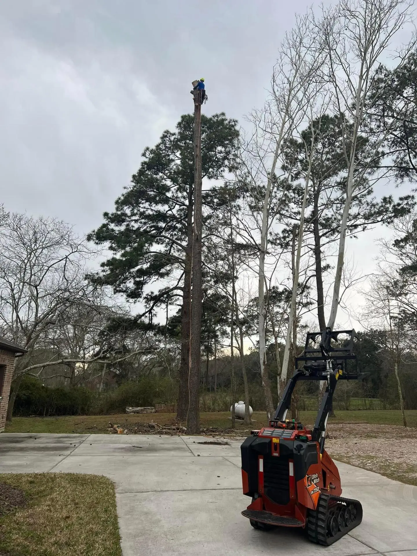 Heavy equipment for tree removal in Pearland Texas