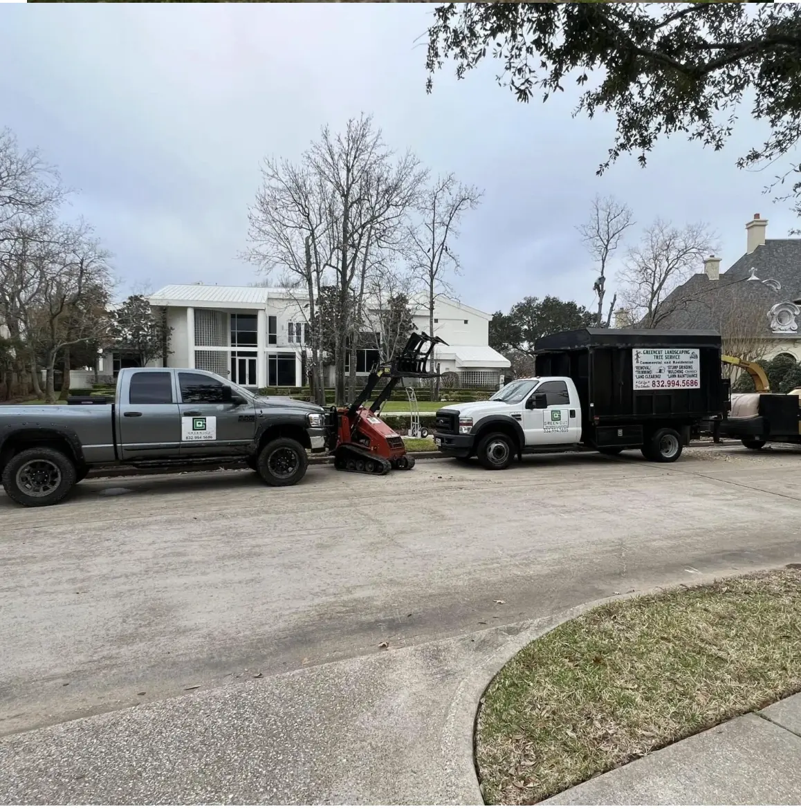 Stump grinding and removal service in Pearland Texas