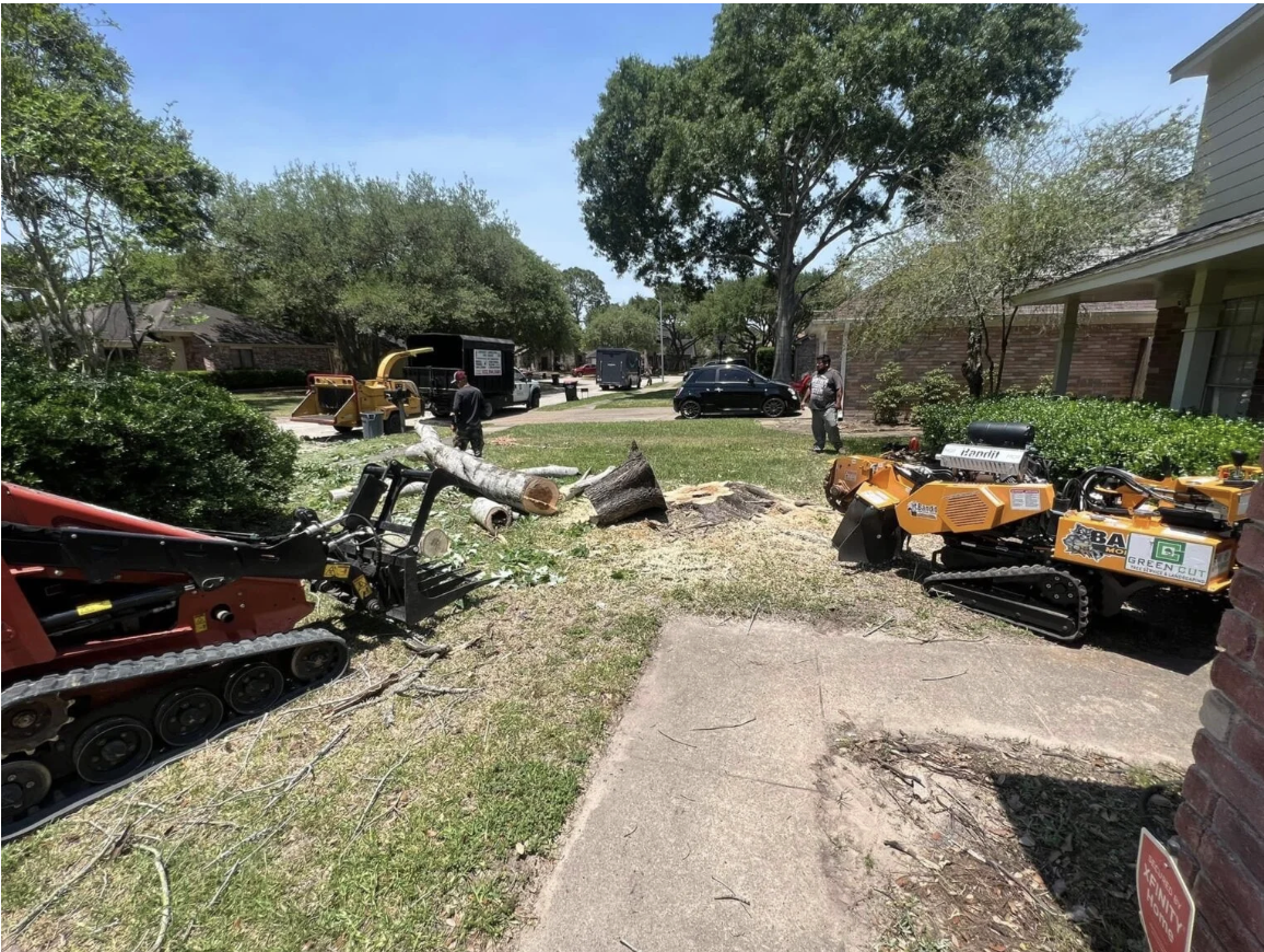 Emergency storm damage tree removal in Pearland TX